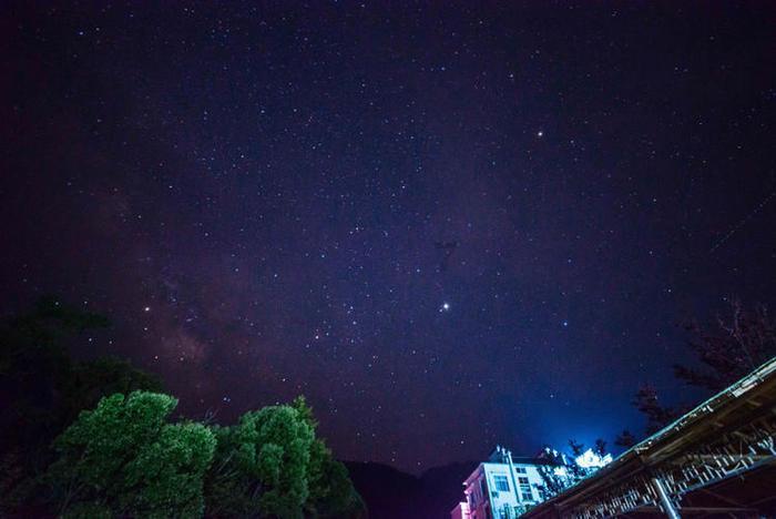 寻找沙漠珍宝